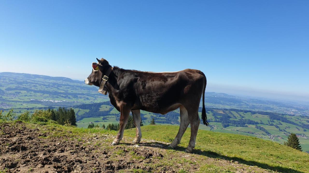 Allgaeu Bergluft Weitnau ภายนอก รูปภาพ