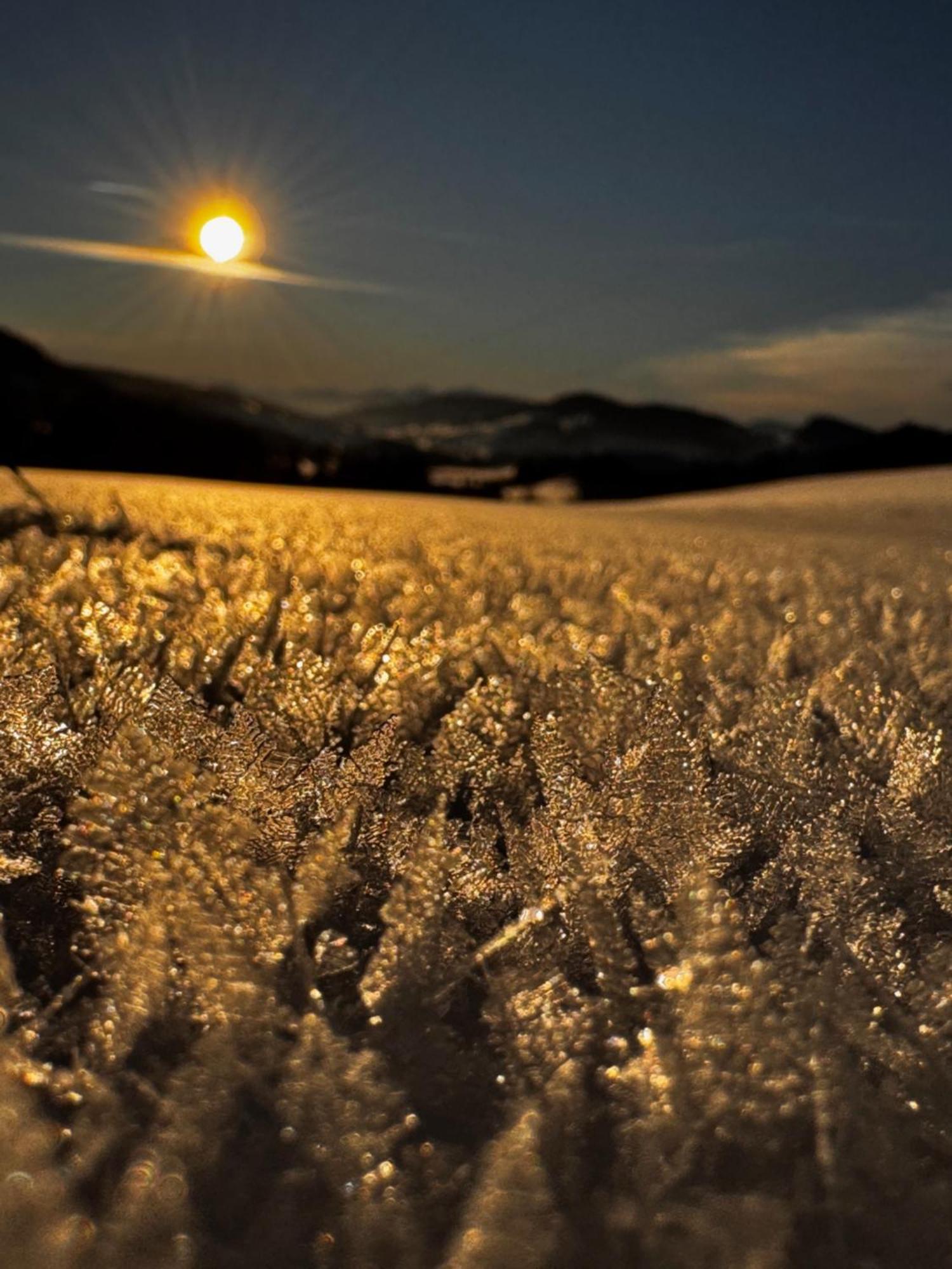 Allgaeu Bergluft Weitnau ภายนอก รูปภาพ