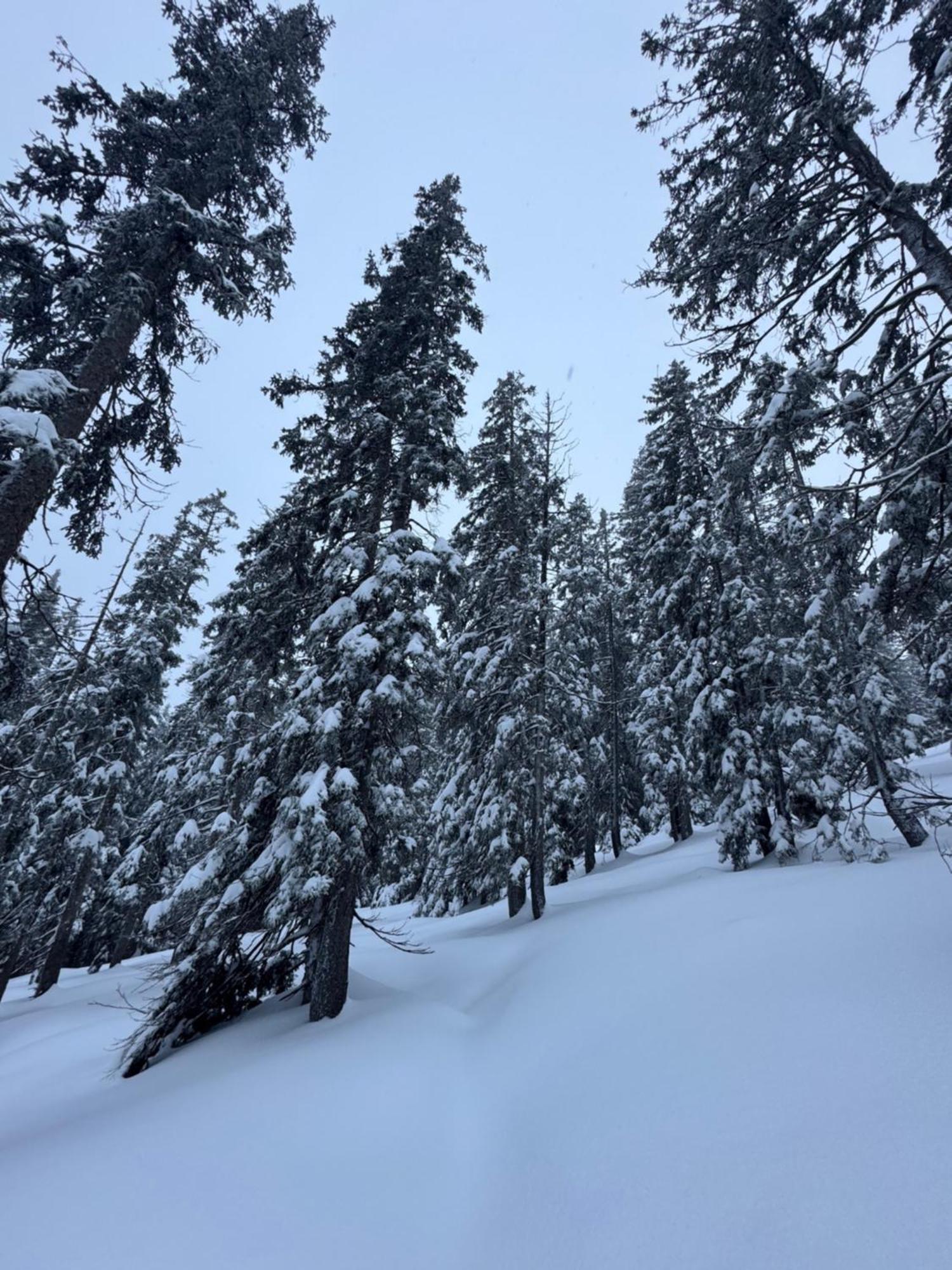 Allgaeu Bergluft Weitnau ภายนอก รูปภาพ