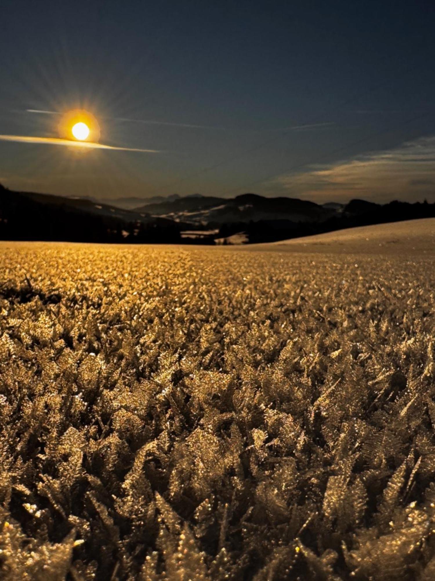 Allgaeu Bergluft Weitnau ภายนอก รูปภาพ