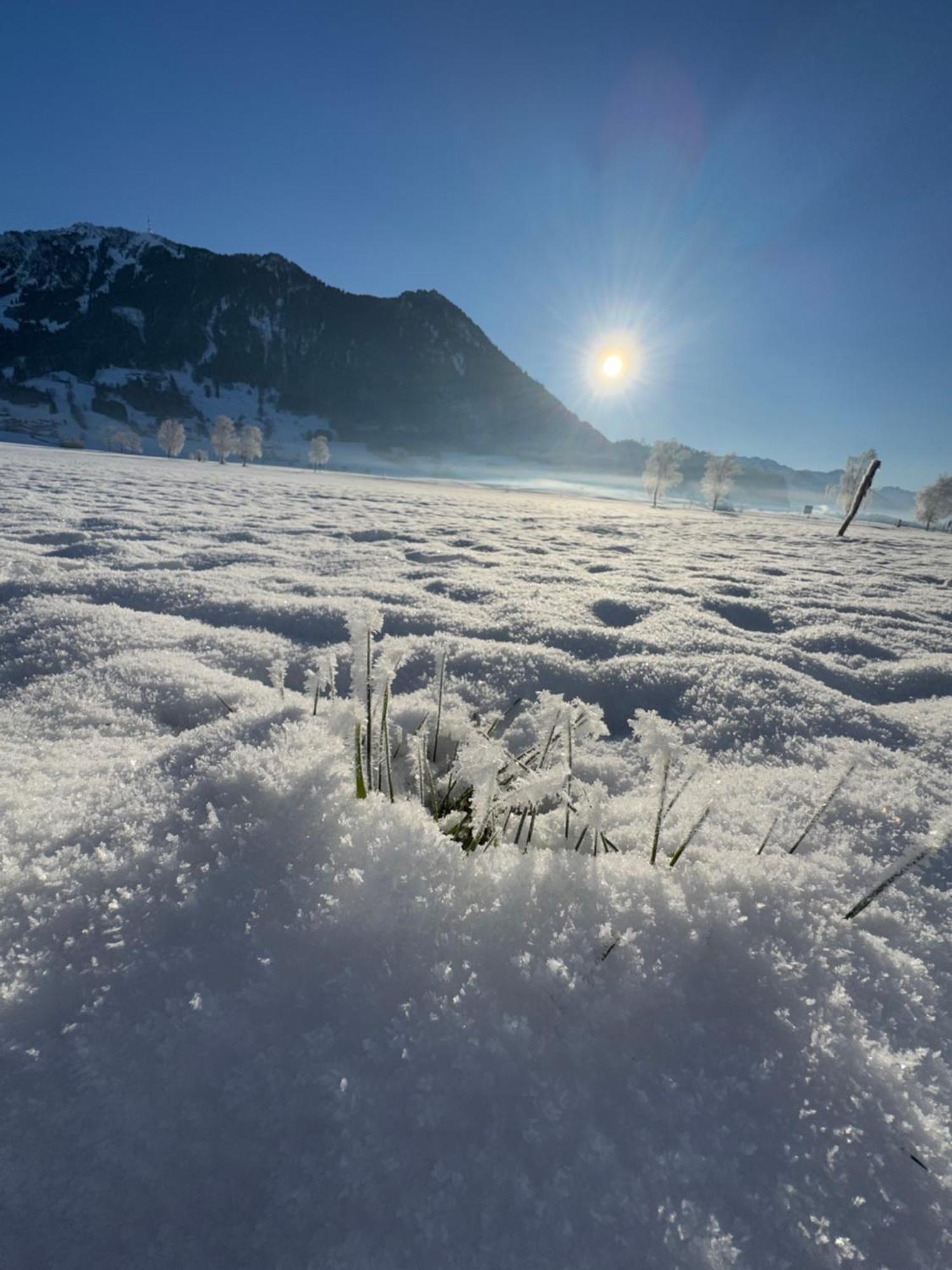 Allgaeu Bergluft Weitnau ภายนอก รูปภาพ