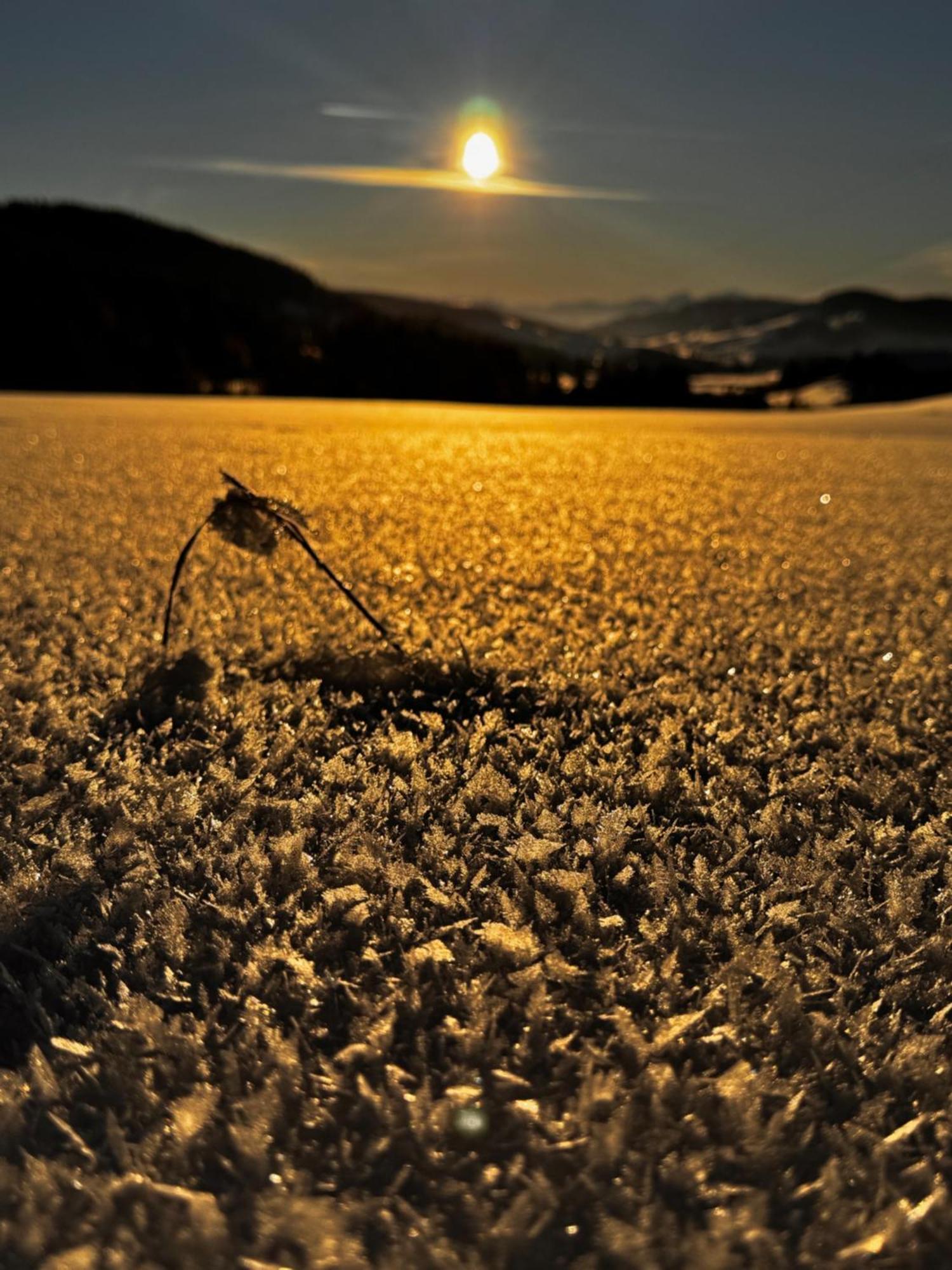 Allgaeu Bergluft Weitnau ภายนอก รูปภาพ