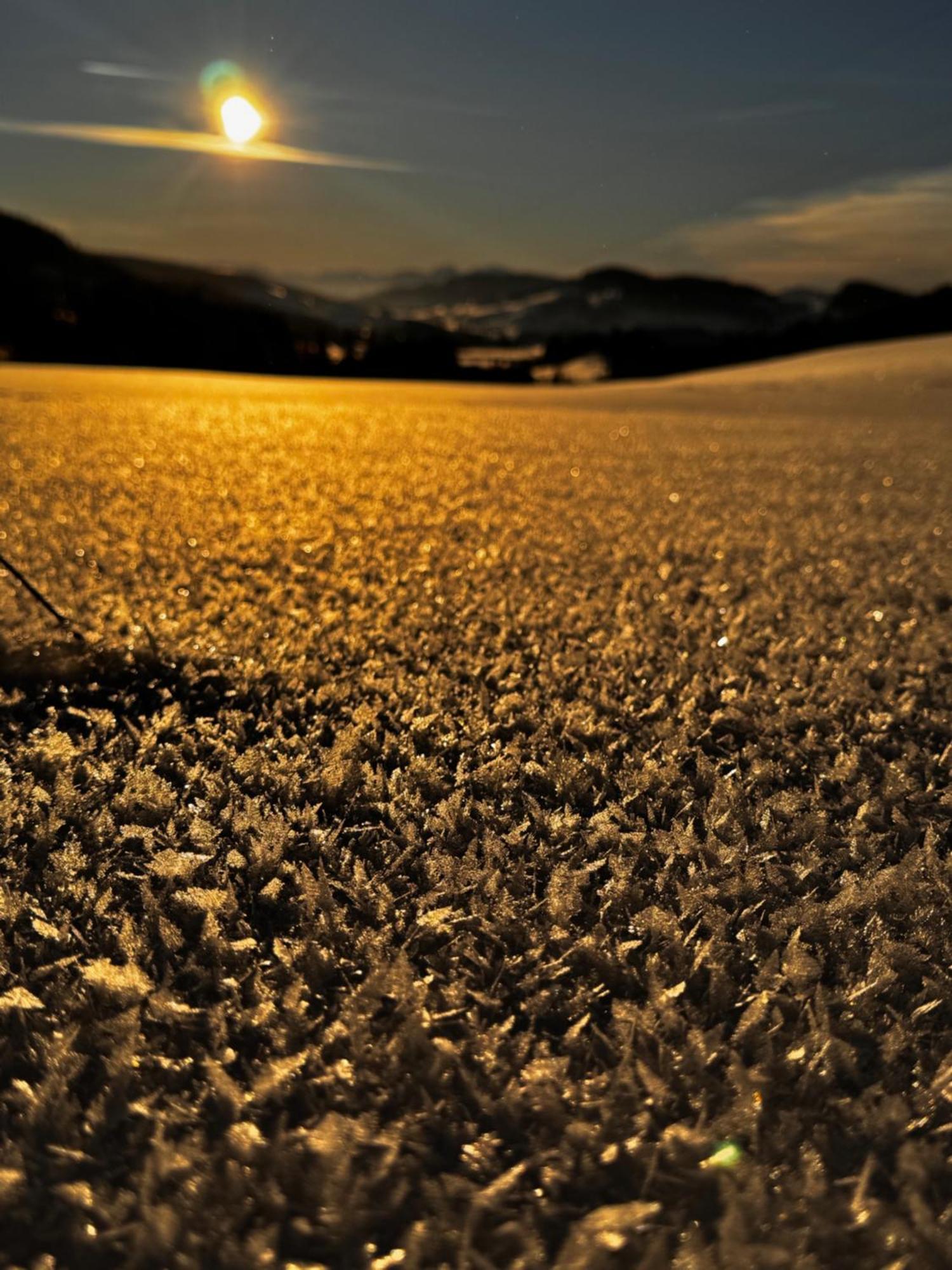 Allgaeu Bergluft Weitnau ภายนอก รูปภาพ