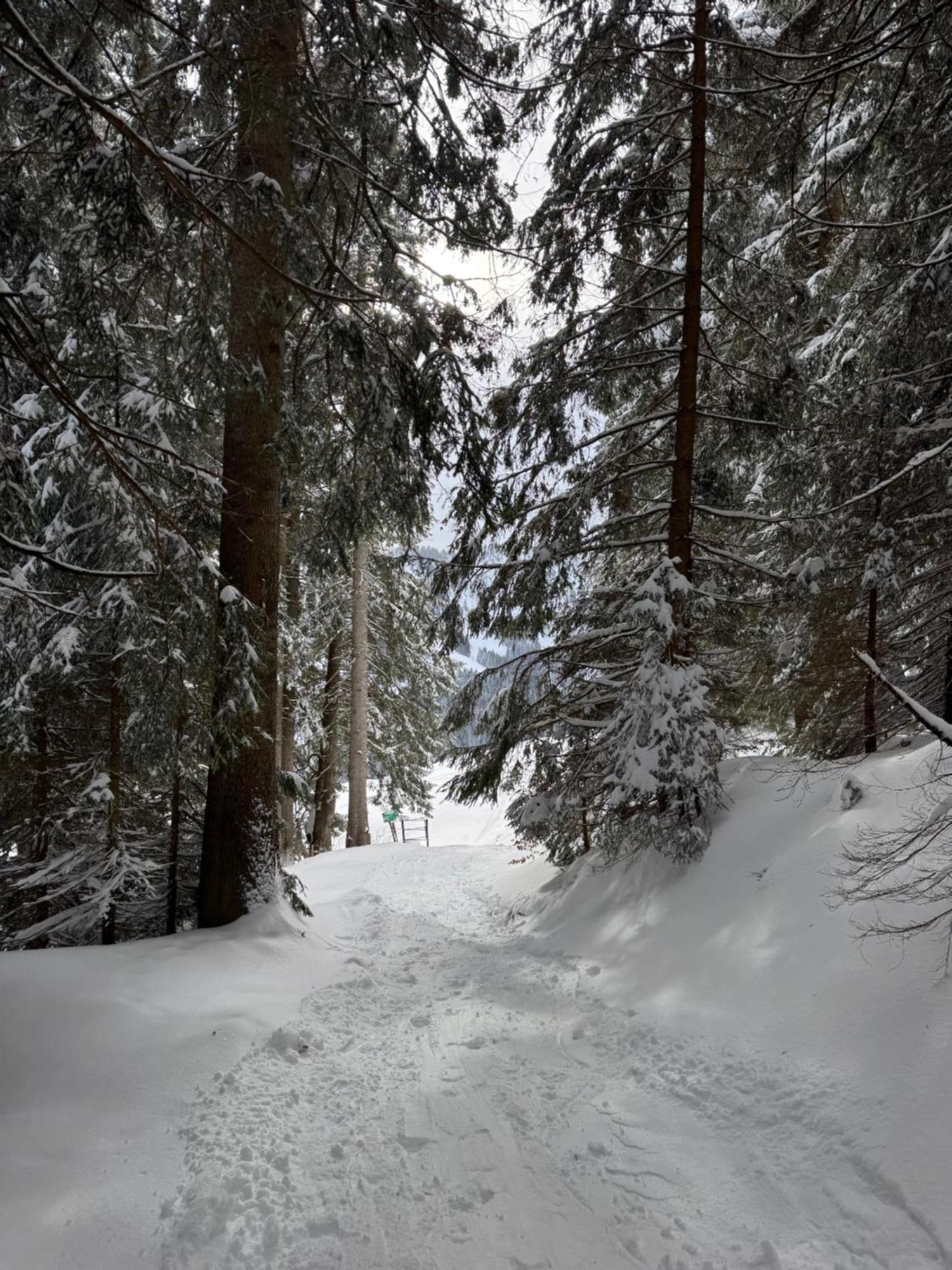 Allgaeu Bergluft Weitnau ภายนอก รูปภาพ