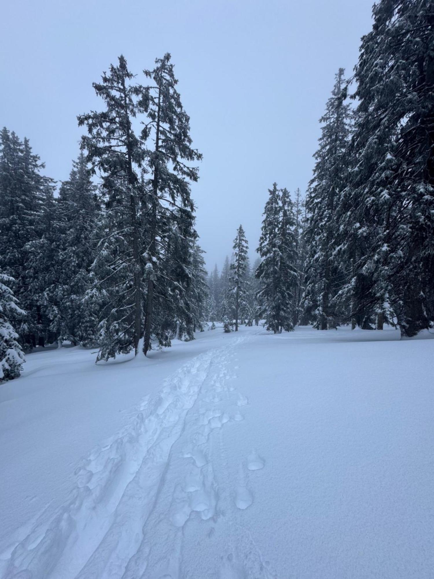 Allgaeu Bergluft Weitnau ภายนอก รูปภาพ