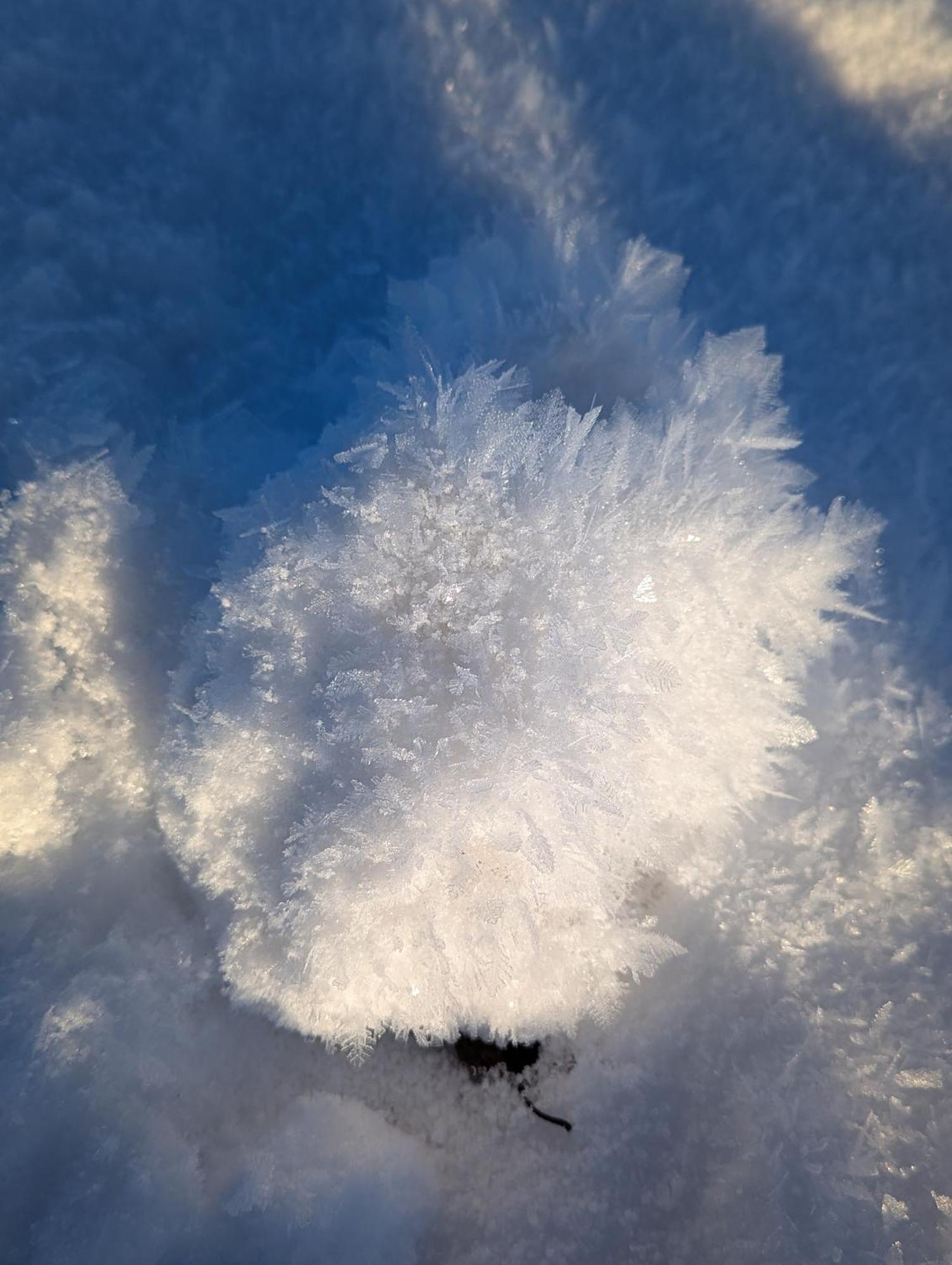 Allgaeu Bergluft Weitnau ภายนอก รูปภาพ